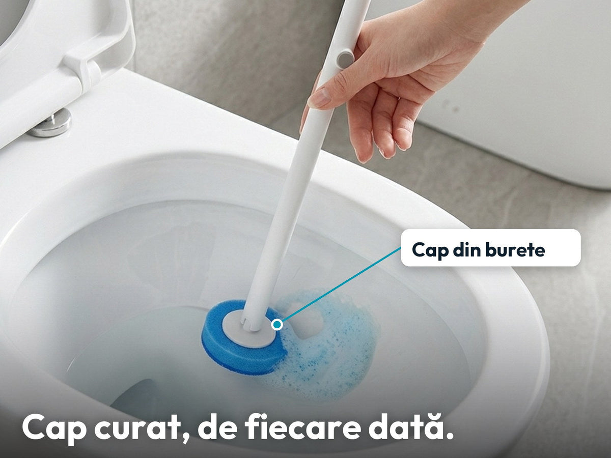 Curățarea vasului de toaletă cu un cap de burete albastru
