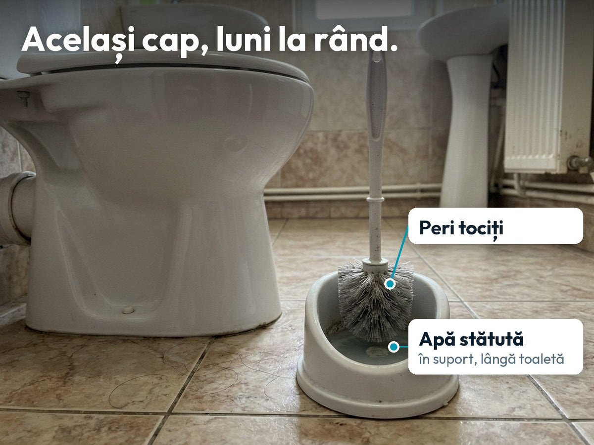Perie WC clasică într-un suport cu apă stătută, lângă vasul de toaletă